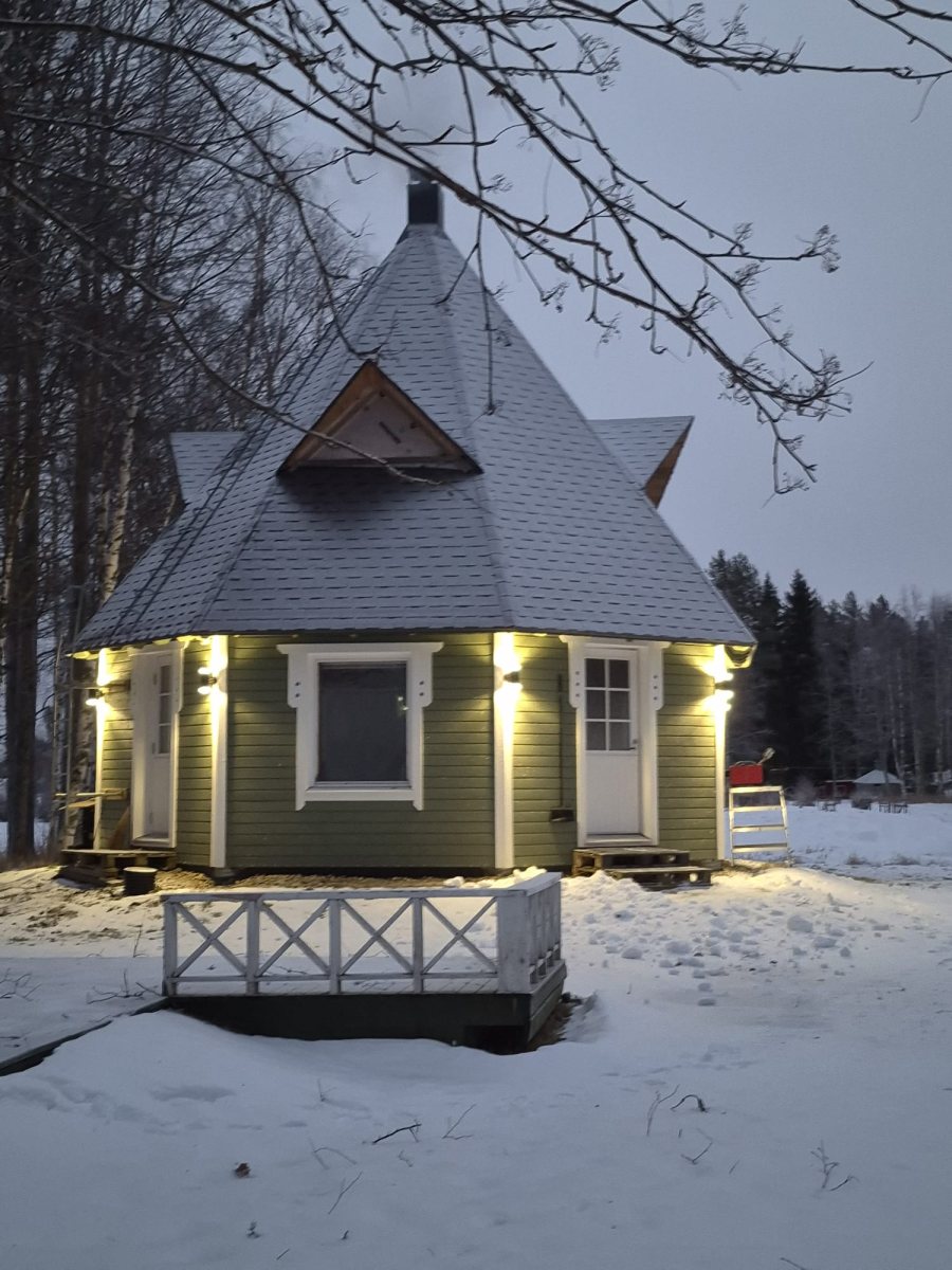 Sahauspalvelu-Mikko-Ollila-kuva-9 Sahauspalvelu-Mikko-Ollila-kuva-9